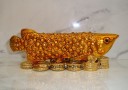 Bejeweled Arowana on Bed of Coins for Wealth