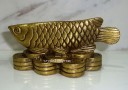 Wealth Inviting Arowana on Bed of Coins (Brass)
