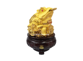 13 inch Rotating Matte Gold Money Frog with Treasure Chest 1