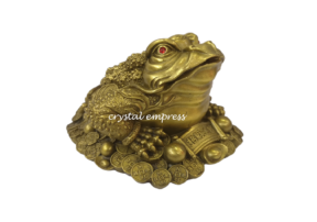 5 inch Brass Money Frog on Stack of Treasure 1