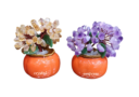 6″ Pair of Raw Amethyst & Citrine Nugget Crystal Tree on Persimmon Base