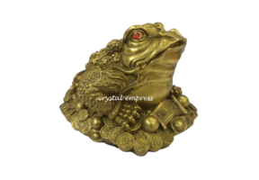 10 inch Brass Money Frog on Stack of Treasure 1