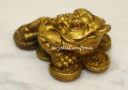 2.5" Brass Money Frog on Stack of Coins (Wealth Luck & Reversal of Luck)
