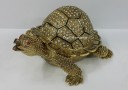 Large Bejeweled Golden Tortoise for Wealth & Longevity