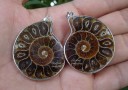 Ammonite Fossil Pendant (Half)