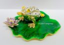 Lucky Money Frog on Waterlily Leaf