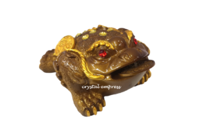 5 inch Yellow Money Frog Biting Coin 1