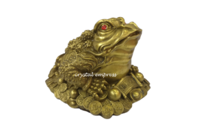 6 inch Brass Money Frog on Stack of Treasure 1